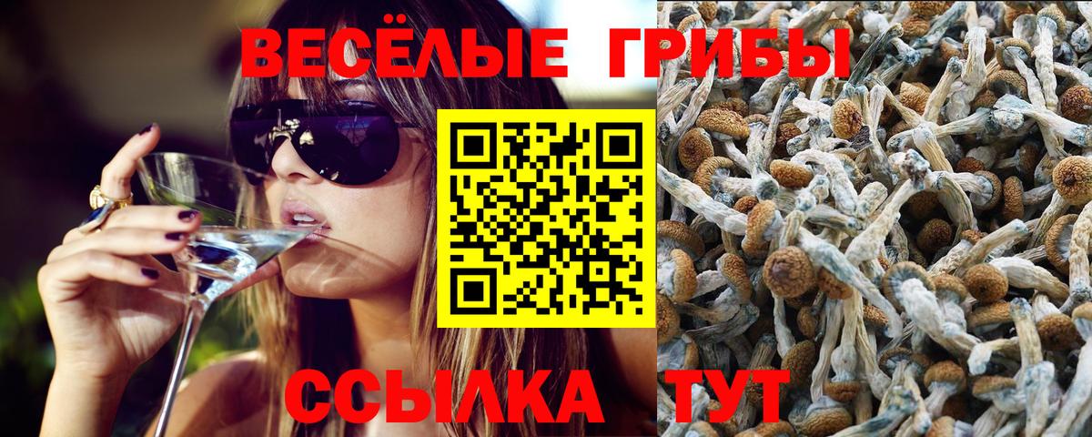 Галлюциногенные грибы мухоморы Каменск-Шахтинский