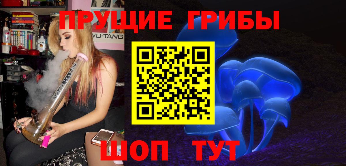 Псилоцибиновые грибы Magic Shrooms  Вход с VPN  Каменск-Шахтинский 